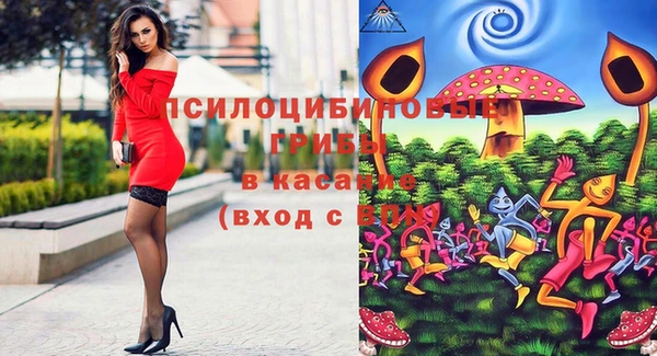 mix Горняк